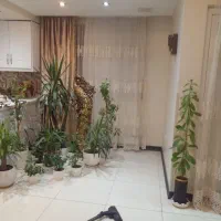 مجسمه|مجسمه، تندیس، ماکت|تهران, چیتگر شمالی|دیوار