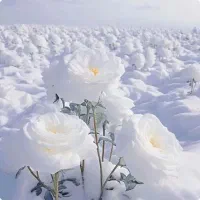شعر|کتاب و مجله ادبی|همدان, |دیوار