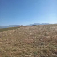 زمین کشاورزی