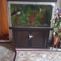 آکواریوم وماهی باتمام وسایل