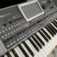 ارگkorg pa900|پیانو، کیبورد، آکاردئون|پاکدشت, پاکدشت (مامازند)|دیوار