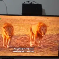 فروش تلویزیون سامسونگ ۴۳اینچ سامسونگ و گیرنده