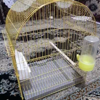قفس پرنده|لوازم جانبی حیوانات|سنندج, |دیوار
