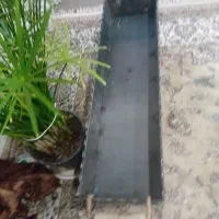 منقل طرح قاجاری|صنایع دستی و سایر لوازم تزئینی|شیراز, قلات|دیوار