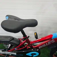 دوچرخه فلیپس اسپرت سایز ۱۶|دوچرخه، اسکیت، اسکوتر|قشم, |دیوار