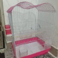 قفس پرنده تر و تمیز|لوازم جانبی حیوانات|اسلامشهر, مسکن مهر اسلاشهر (شهرک امام خمینی)|دیوار