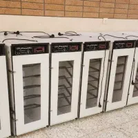 دستگاه جوجه‌کشی فوق‌العاده ۹۷% موفقیت