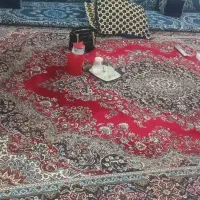 قالی|فرش|اهواز, کمپلو جنوبی|دیوار
