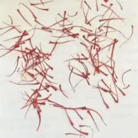 زعفران قاینات