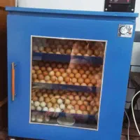 فروش ویژه دستگاه جوجه کشی|لوازم جانبی حیوانات|کازرون, |دیوار