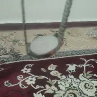 با سلام خدمت دوستان عزیز ساعت مچی مردانه|ساعت|برازجان, |دیوار