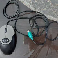 ماوس