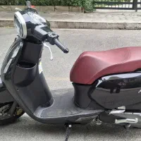 بنلی پاناریا