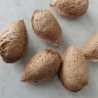 بادام درختی اعلا