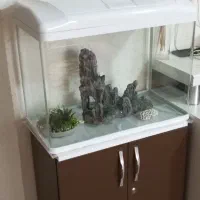 آکواریوم درحدنو|ماهی|کاشان, شهرک خاتم الانبیا (مسکن ملی کاشان)|دیوار