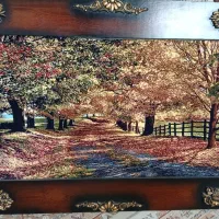 قاب فرش|تابلو فرش|اصفهان, پروین|دیوار