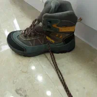 کفش کوهنوردی