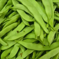 سس پیله درجه یک ارگانیک