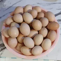 تخم مرغ محلی