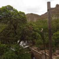 این زمین انگوری با آینده تزمینی|فروش زمین و ملک کلنگی|شیراز, قلات|دیوار