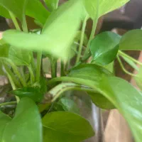 استخدام نیروی پذیرش خانم در باشگاه ورزشی بانوان