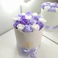 باکس های روبانی