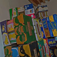 کارتن موز سالم