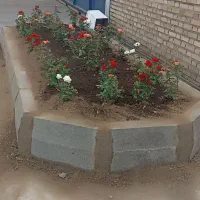 باغبانی سمپاشی گل کاری سم پاشی هرس تعویض خاک وگدان