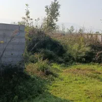 زمین مسکونی|فروش زمین و ملک کلنگی|لاهیجان, خالو باغ|دیوار