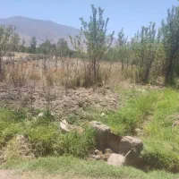 زمین-کشاورزی