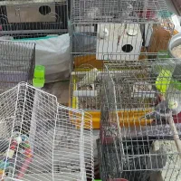 اهواز کوت عبدالله خیابان بانک کشاورزی مرادی