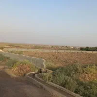 ۲۵۰۰ زمین باغی با۱۰ ساعت آب قنات ساروق مشکات کاشان|فروش زمین و ملک کلنگی|قم, دروازه کاشان|دیوار
