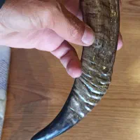 چاقوی طبیعت گردی|کوهنوردی و کمپینگ|صدرا-فارس, فاز ۱|دیوار