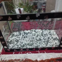 آکواریوم کاملا سالم به همراه بخاری