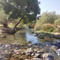 دورهمی اکیپ دوستانه