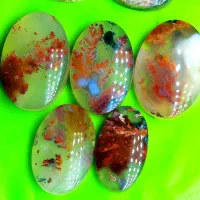 نگین شجر گل اناری