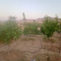 باغ هزار متری محدوده حسین آباد عاشوری|فروش آپارتمان|بهار, |دیوار