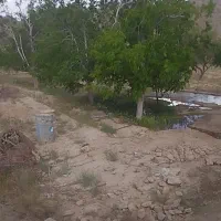 باغ ۱۰۰۰ متری (نقد و اقساط)