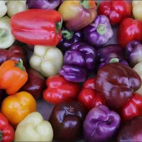 بسته بندی صیفیجات|استخدام خدمات فروشگاه و رستوران|یزد, |دیوار