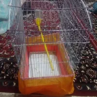 قفس|لوازم جانبی حیوانات|زابل, |دیوار