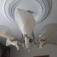۶ شعله