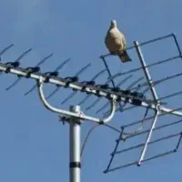 نصب آنتن و تعمیر دستگاه دیجیتال