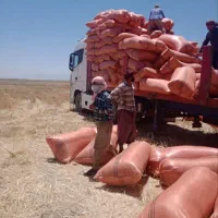 کمباین جاندر|حیوانات مزرعه|تایباد, |دیوار