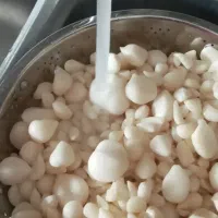 موسیرتازه...