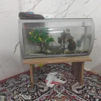 آکواریوم