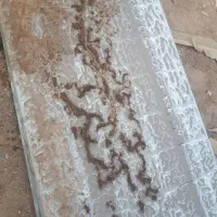 سمپاشی وموریانه زدایی باضمانت نامه کتبی|خدمات نظافت|بندر امام خمینی, |دیوار