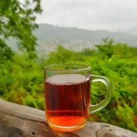 چایی و برنج