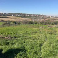 فروش-1600متری-لکه-زرد-جاده-نظامی-متری-4