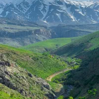 نقاشی ساختمان،کاغذ دیواری در تمام نقاط تهران|خدمات پیشه و مهارت|تهران, اقدسیه|دیوار
