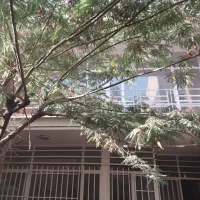 ۲۰۰ متر دربستی بازسازی شده ستارخان